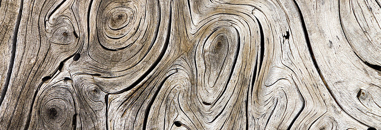 Holzwirbel sind spannende organische Formen.